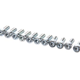 Bombe Başlı Vida Torx T20 M4x12  04/2004 sonrası